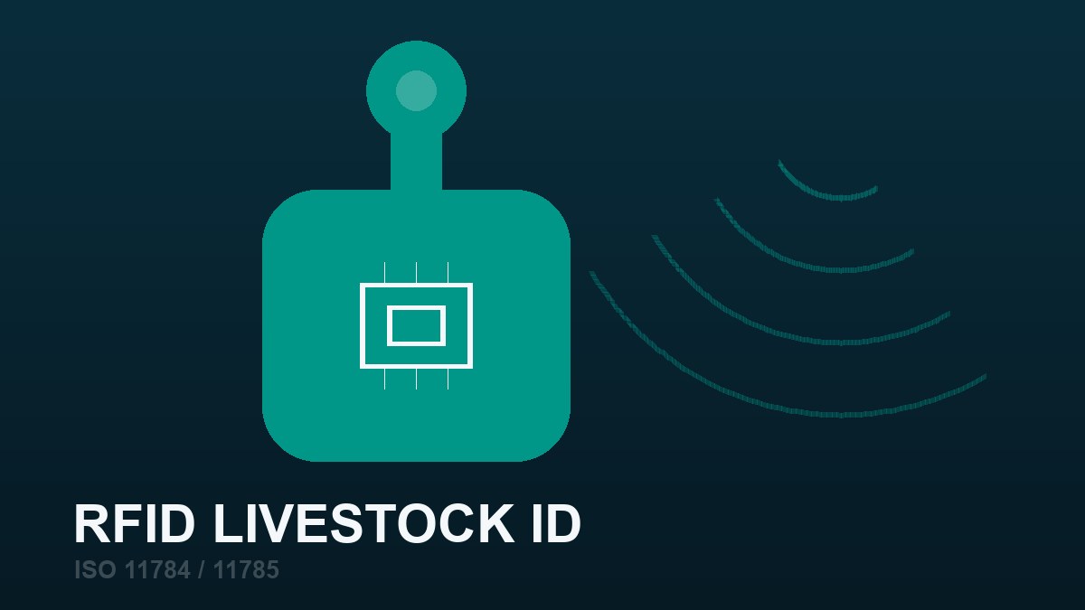 ICAR-certified RFID ear tags for livestock in the ERFID lineup